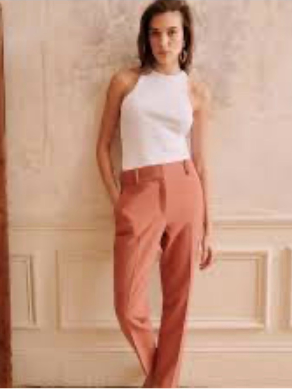 Sézane Gustavo Trousers in Rosewood. Size 4/ 36